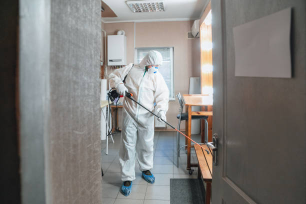 Best Biohazard Mold Removal  in Kewanee, IL