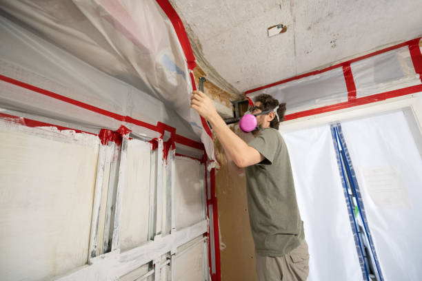 Professional Mold Removal in Kewanee, IL